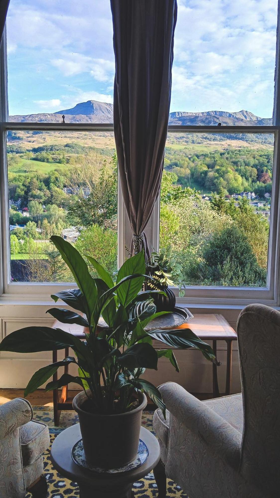 Amazing Cader Views Torrent En Suite Dolgellau Bagian luar foto